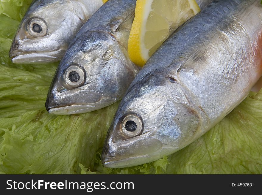 Fish are a popular food and very healthy. Fish are a popular food and very healthy