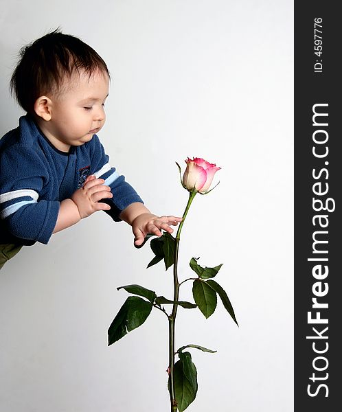 The Child And A Rose