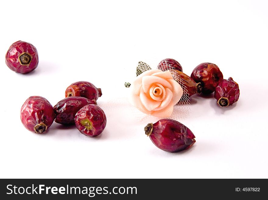 Number of dried rose hips and pink rose macro close up. Number of dried rose hips and pink rose macro close up