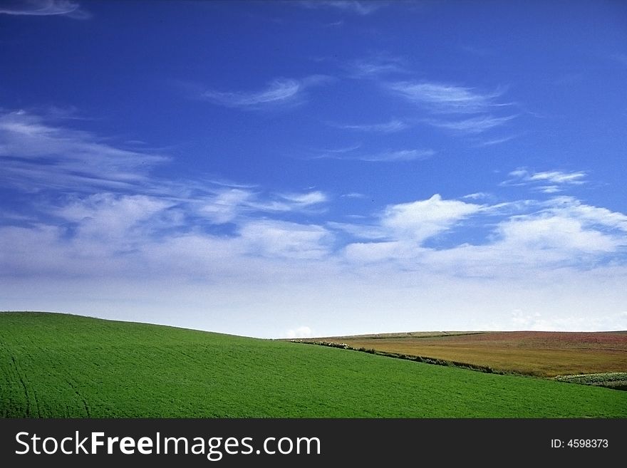 A beautiful sky and grass landscape wallpaper