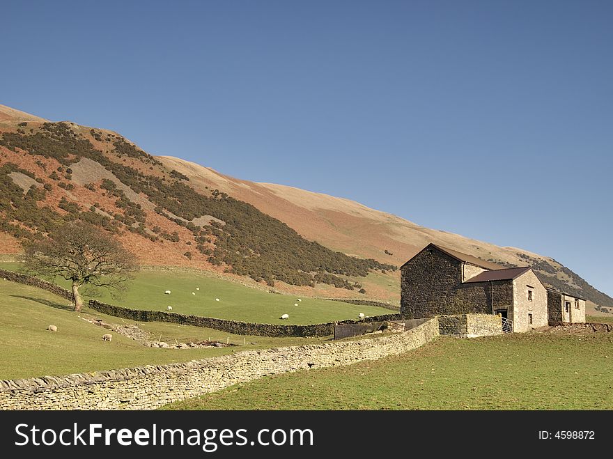 A Yorkshire Dales dry stone  wall leading to a stone barn. A Yorkshire Dales dry stone  wall leading to a stone barn