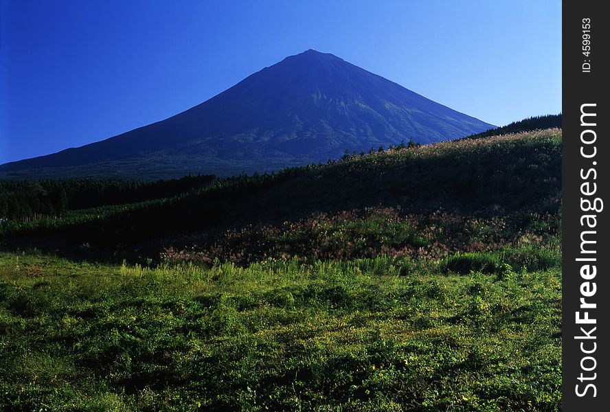 Mount Fuji from forest, meadow and pond in foreground. Mount Fuji from forest, meadow and pond in foreground