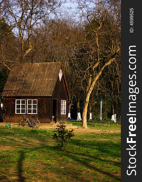 Wood House In Forest