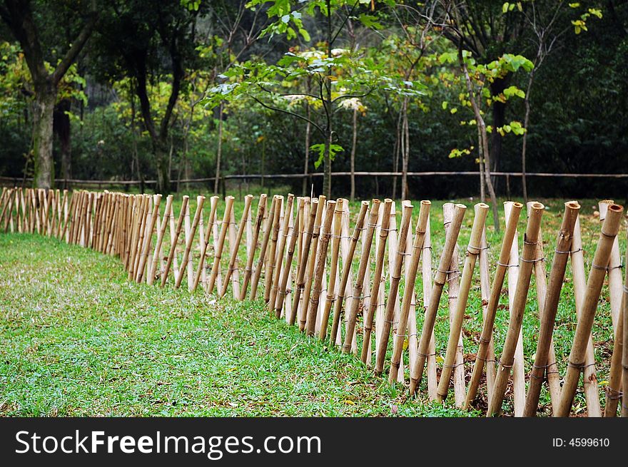 The fence made of bamboo on the green grass. The fence made of bamboo on the green grass