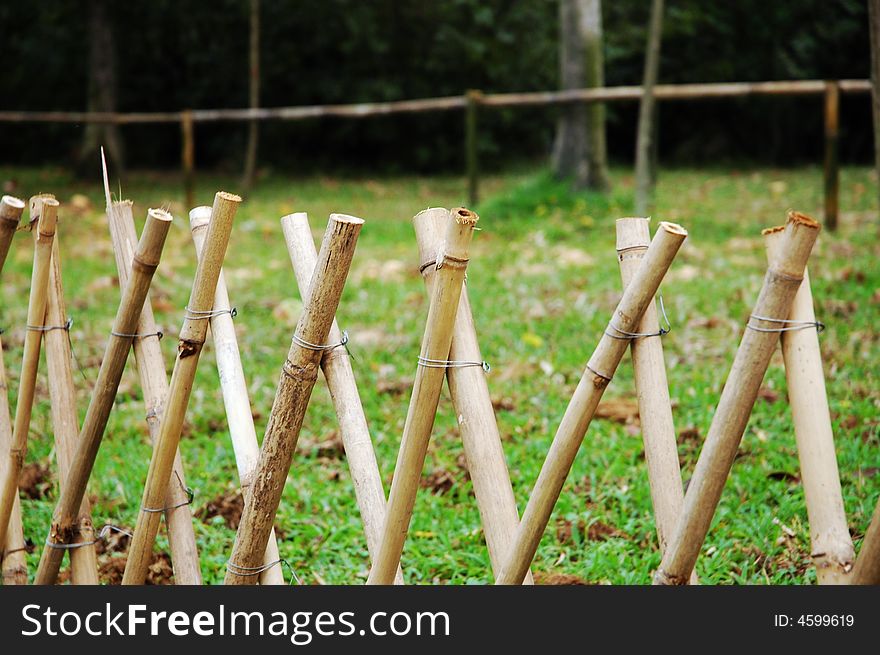 The fence made of bamboo on the green grass. The fence made of bamboo on the green grass