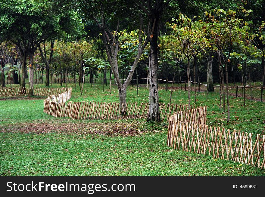 The fence made of bamboo on the green grass. The fence made of bamboo on the green grass