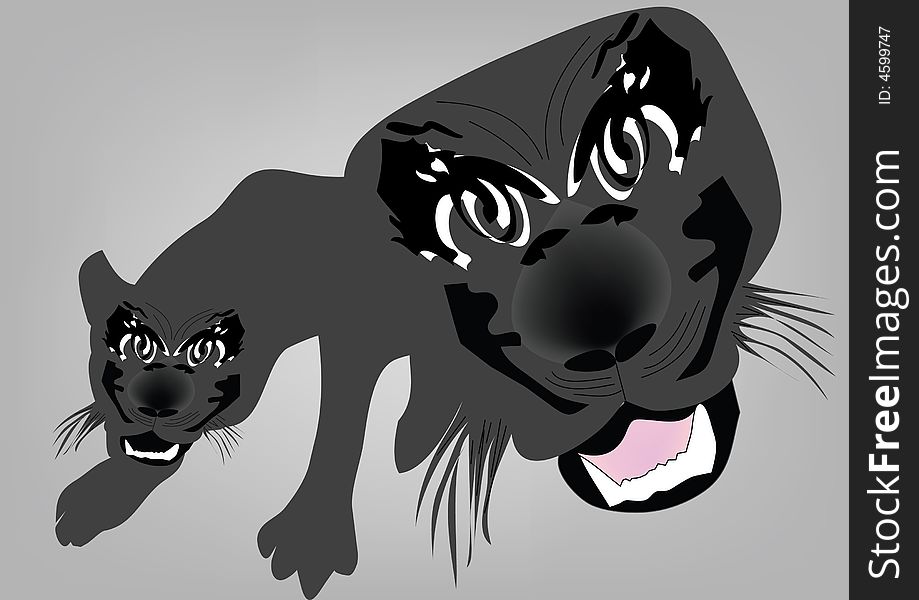 Panther illustration on gray background