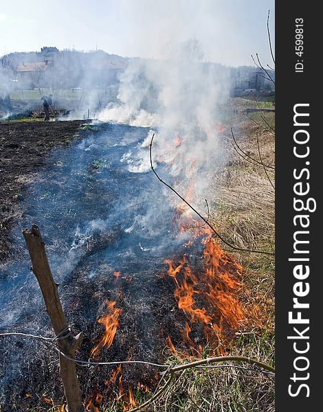 Fire burning at the agriculture land at the daylight