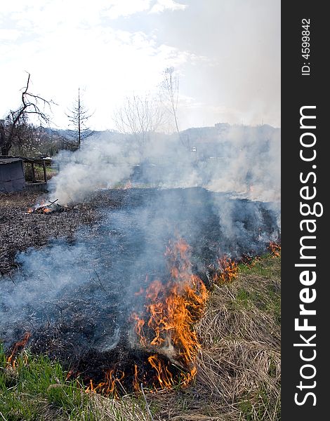 Fire burning at the cultivation soil in spring during seed preparation
