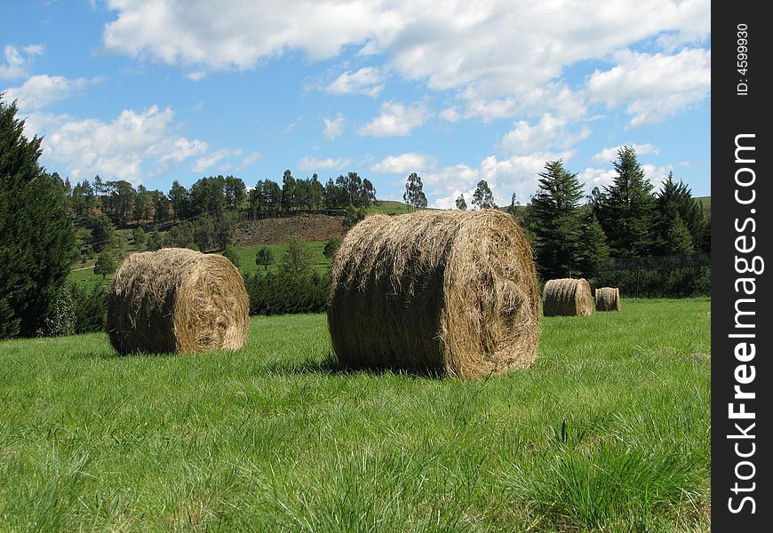 Hay bales on a green field