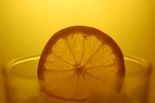 Orange On A Shot Glass Stock Photography Orange On A Shot Glass Stock Photography