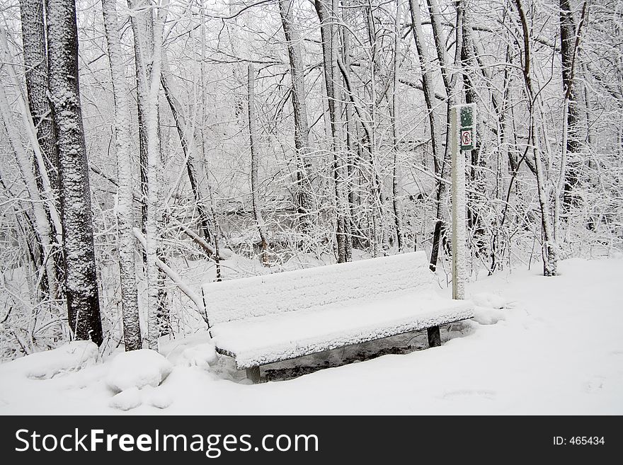 A park bench and trees covered with snow. A park bench and trees covered with snow