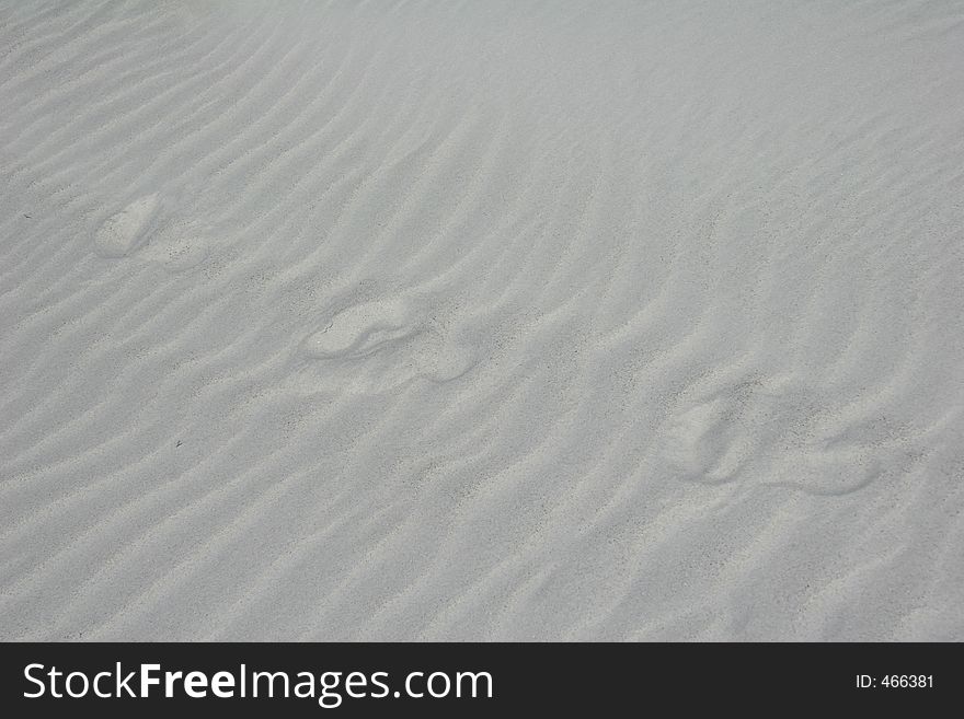 Footprints on beach, Florida. Footprints on beach, Florida