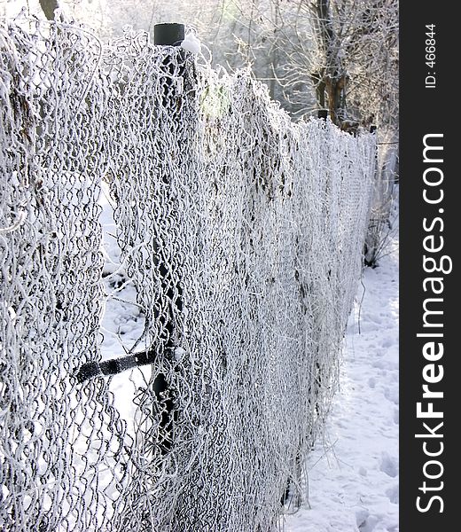 Frosted fencing. Frosted fencing