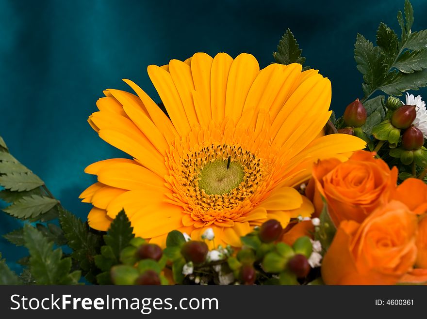 A big yellow gerbera with roses