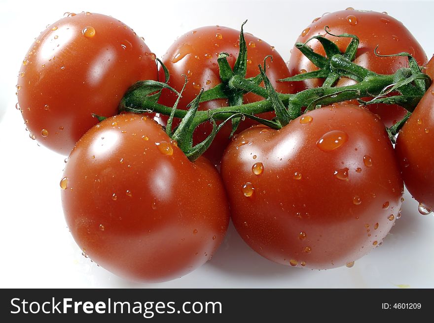 A branch of red and tender tomatoes with water drops on it.