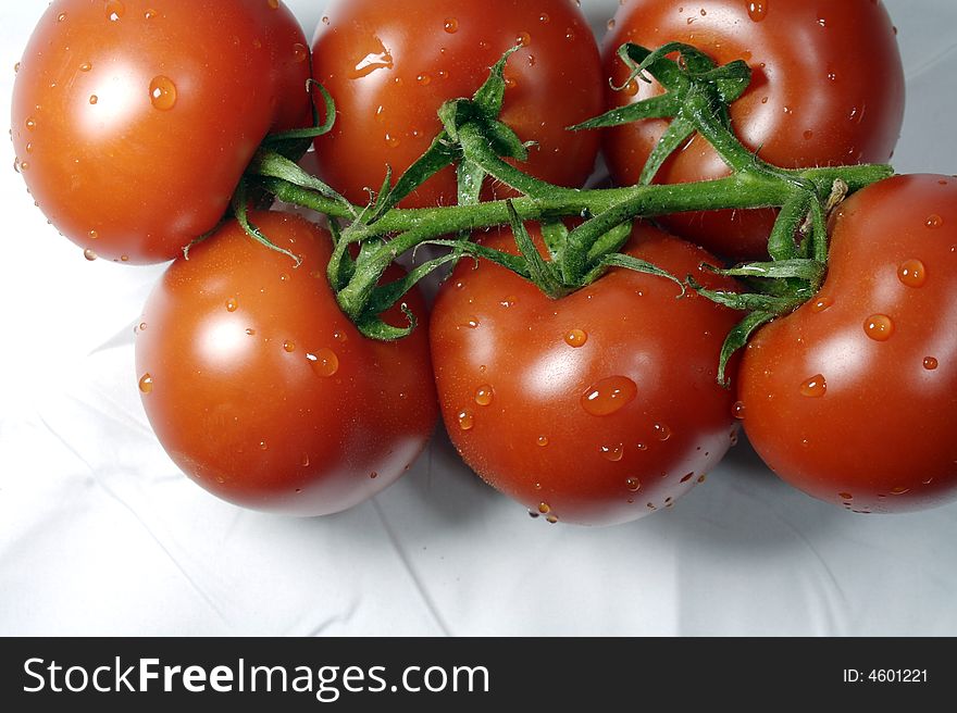 A branch of red and tender tomatoes with water drops on it.