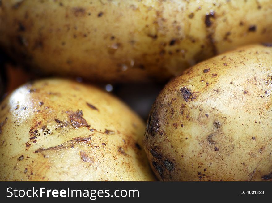 A close up of three raw potatoes