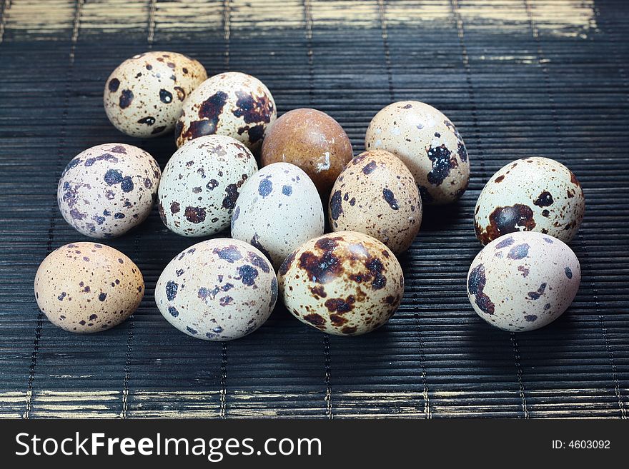 13th eggs of the small birds