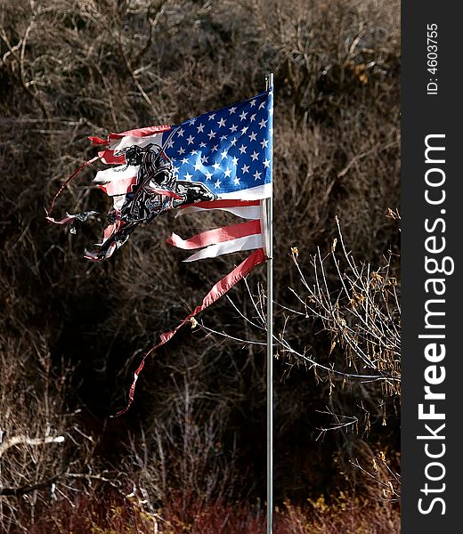 Tattered America flag and pole with image on flag. Tattered America flag and pole with image on flag