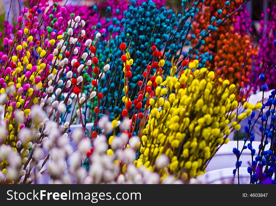 Colored Flowers In Market
