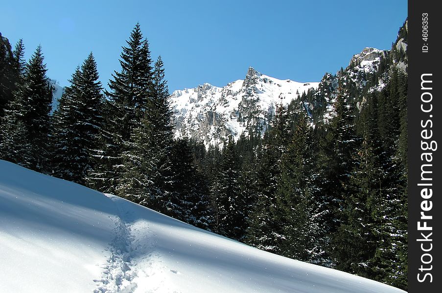 Touristic route to Malaiesti chalet (1720 m altitude) in Bucegi mountains. In background you can see Padina Crucii ridge. Touristic route to Malaiesti chalet (1720 m altitude) in Bucegi mountains. In background you can see Padina Crucii ridge.