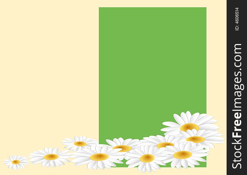 Camomile with petals on a green background