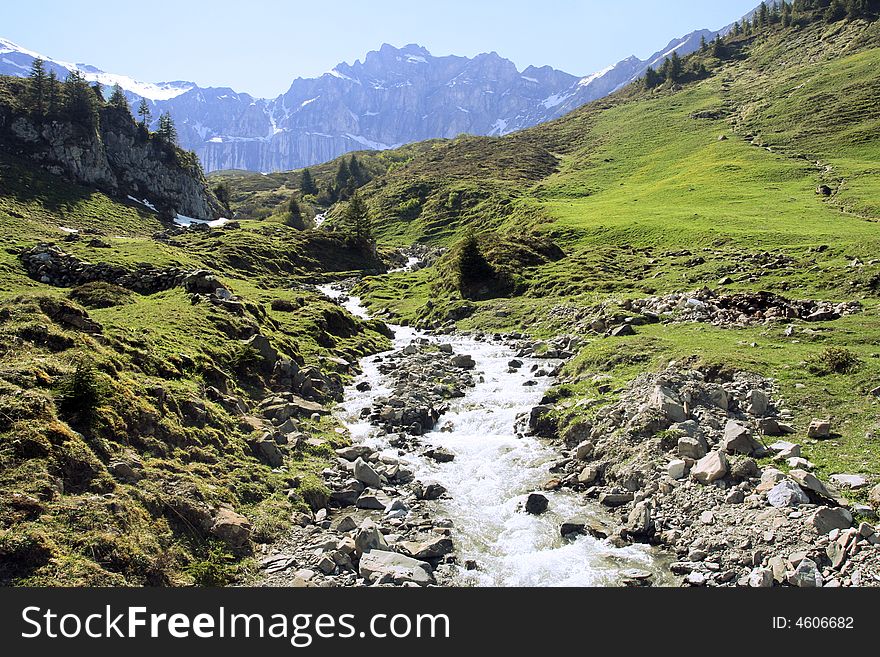 Spring stream on the alpine hills. Spring stream on the alpine hills