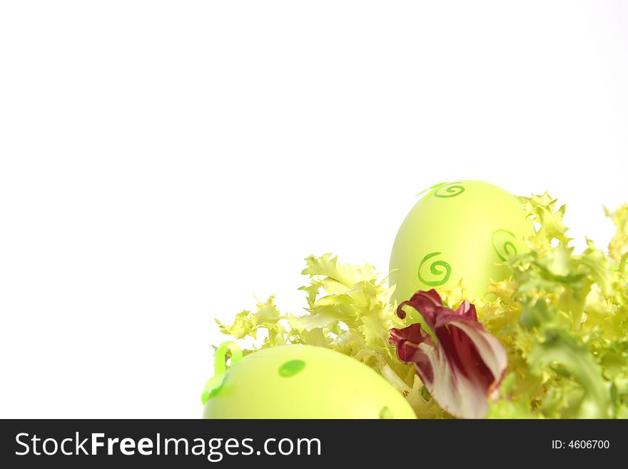 Easter eggs in salad separate on white