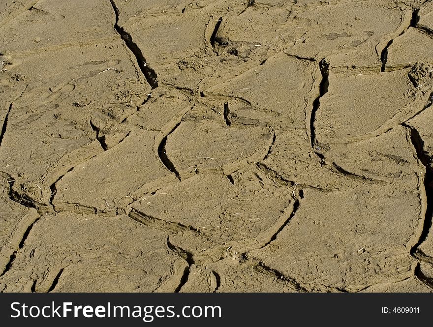 Cracked brown mud makes up the entirety of this moist looking background. Cracked brown mud makes up the entirety of this moist looking background.