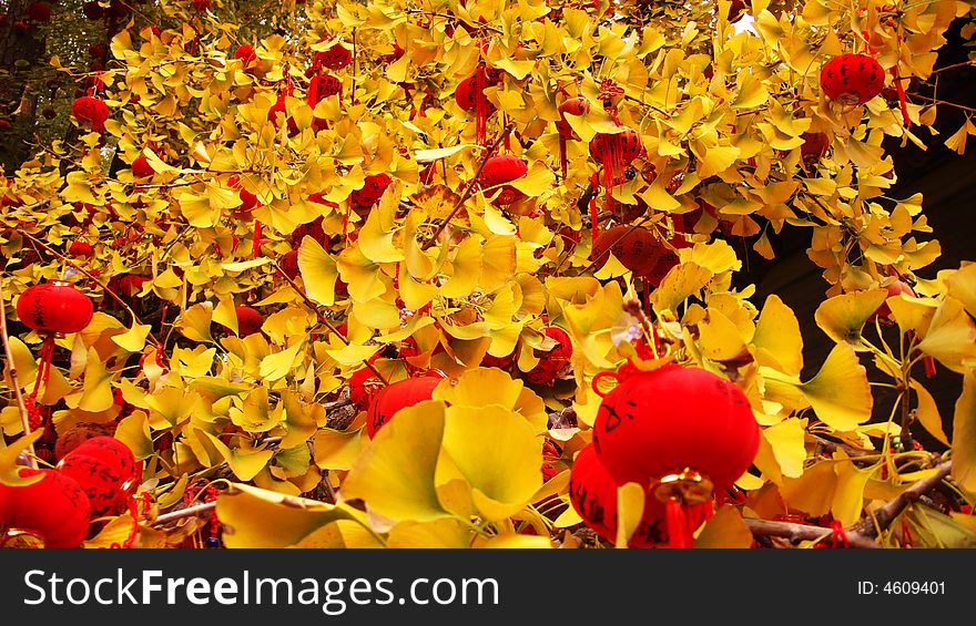 Wash asian China chinese red Lanterns