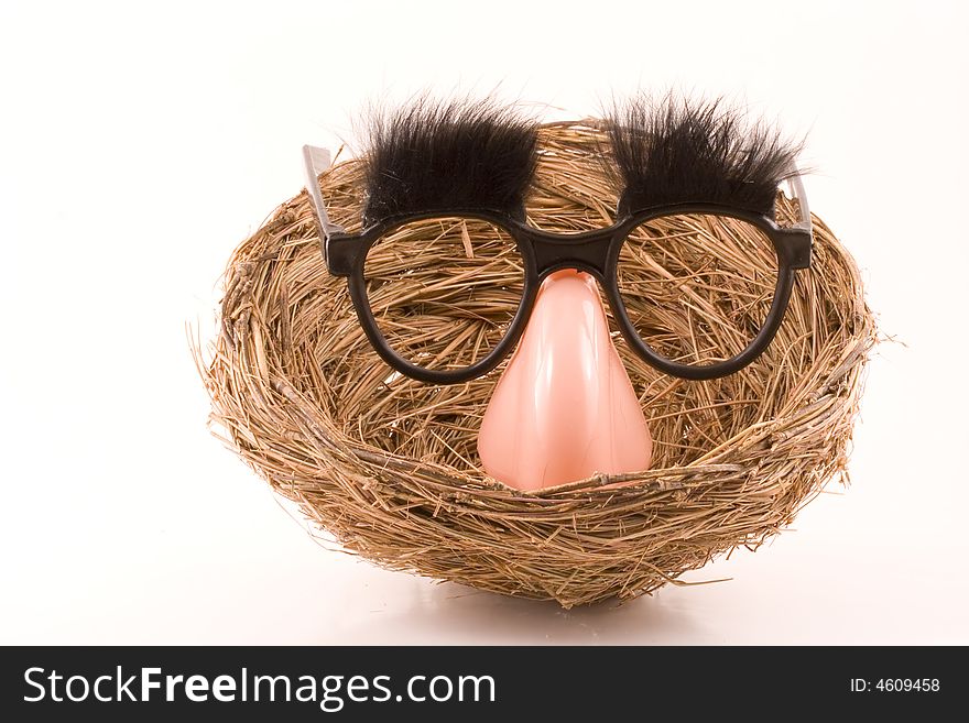 A set of mystery glasses complete with eybrows and nose rests over an empty birds nest. A set of mystery glasses complete with eybrows and nose rests over an empty birds nest.