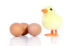 Little Yellow Chick And Three Eggs Royalty Free Stock Image