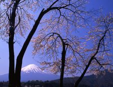 Mt Fuji-418 Stock Photos Mt Fuji-418 Stock Photos