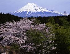 Mt Fuji-416 Royalty Free Stock Images Mt Fuji-416 Royalty Free Stock Images