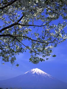 Mt Fuji-412 Royalty Free Stock Photos Mt Fuji-412 Royalty Free Stock Photos
