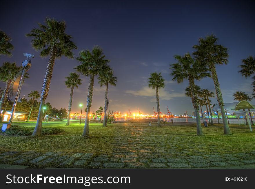 HDR night shot in Tokyo, Japan