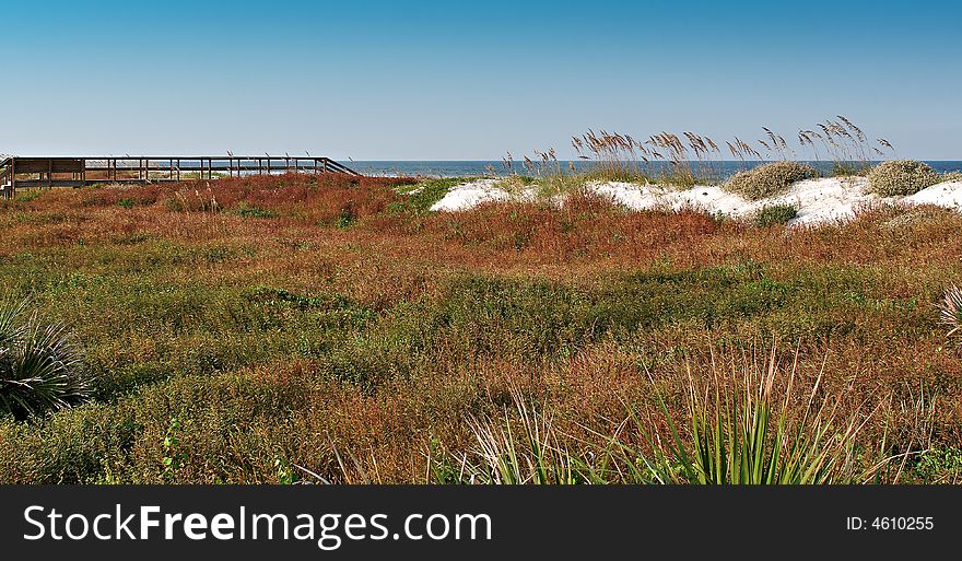 Thick green and red beach vegetation with bridge, ocean, and blue sky in background.