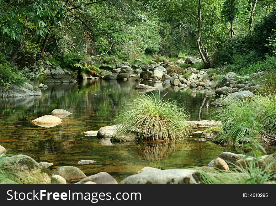 River scenics