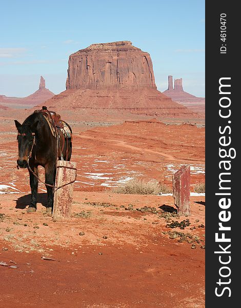 Cow Boy horse in Monument valley with snow in background