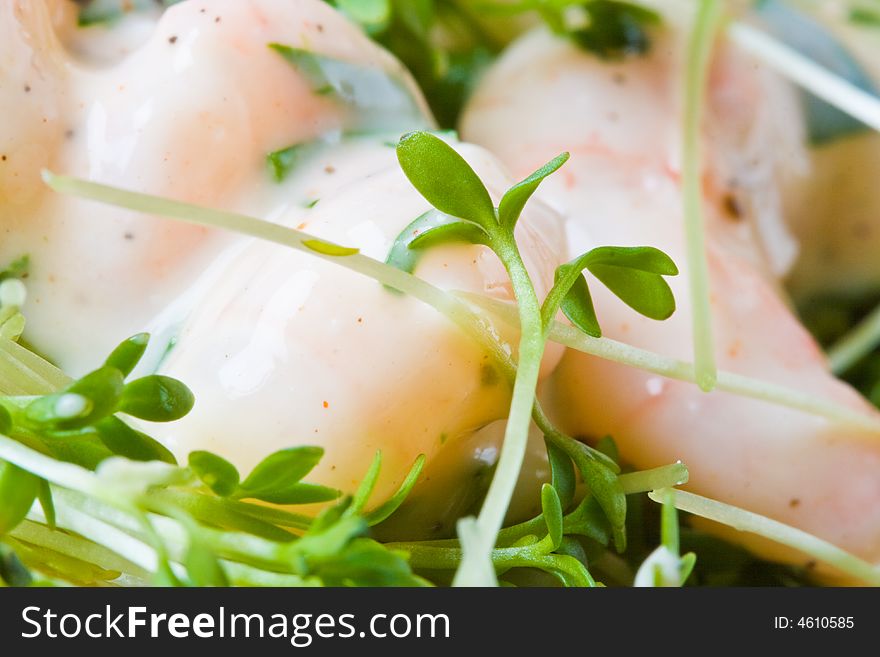 Close up of fresh cress with prawns in the background. Close up of fresh cress with prawns in the background