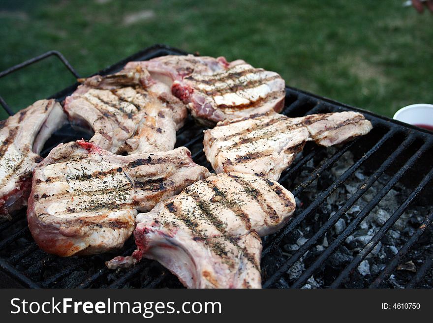 Meat on a barbeque in a sunny day