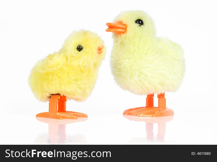 Two little yellow chicks isolated on white background