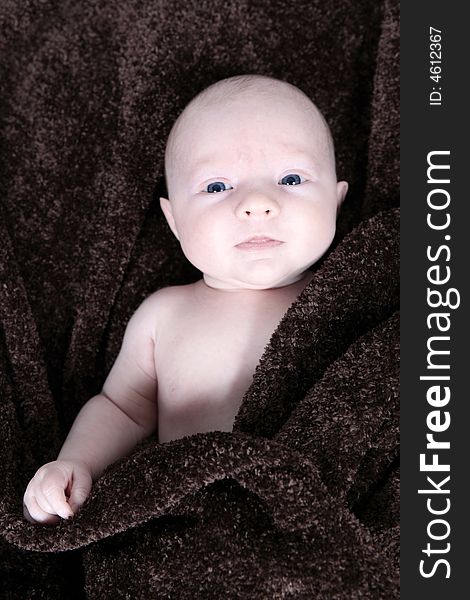 Newborn Baby In Blanket