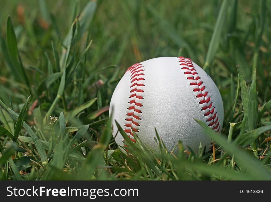 Lonely ball in the grass. Lonely ball in the grass