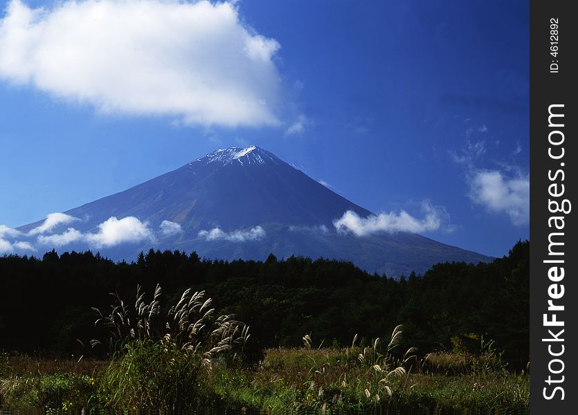 The Mt,Fuji in early autumn. The Mt,Fuji in early autumn