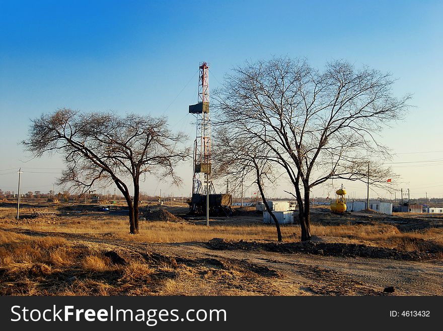 Drilling Rig And Trees