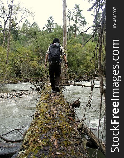 At a tibetan valley, a man walking carefully to cross a torrential river. At a tibetan valley, a man walking carefully to cross a torrential river