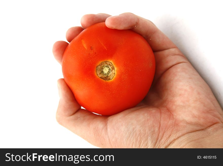 A white caucasian hand holding a bright tomato. A white caucasian hand holding a bright tomato
