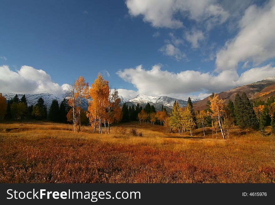 High Mountain Flat in the fall showing all the fall colors with mountains in the background. High Mountain Flat in the fall showing all the fall colors with mountains in the background